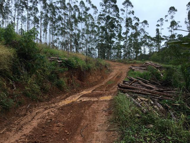 Terreno/Cachoeira - Foto 10