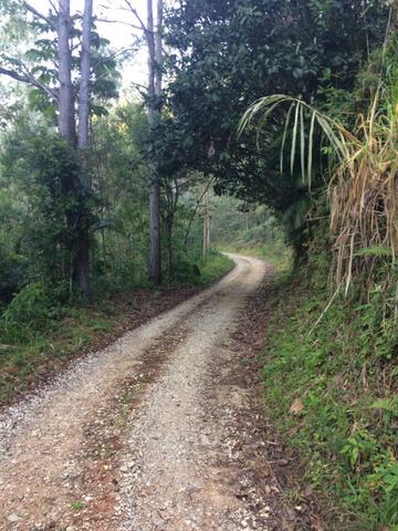Terreno/Cachoeira - Foto 7