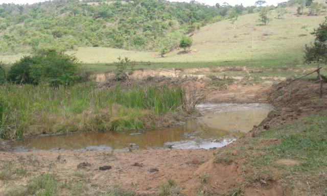 Fazenda - Foto 7