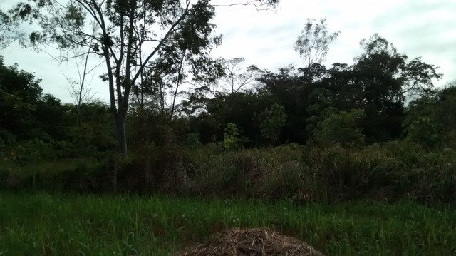 Oportunidade vende-se Chácara em Condomínio - Foto 5