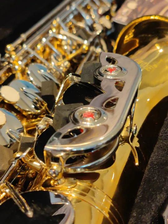 R$ 2.300,00 Sax Alto Novo Designed by USA