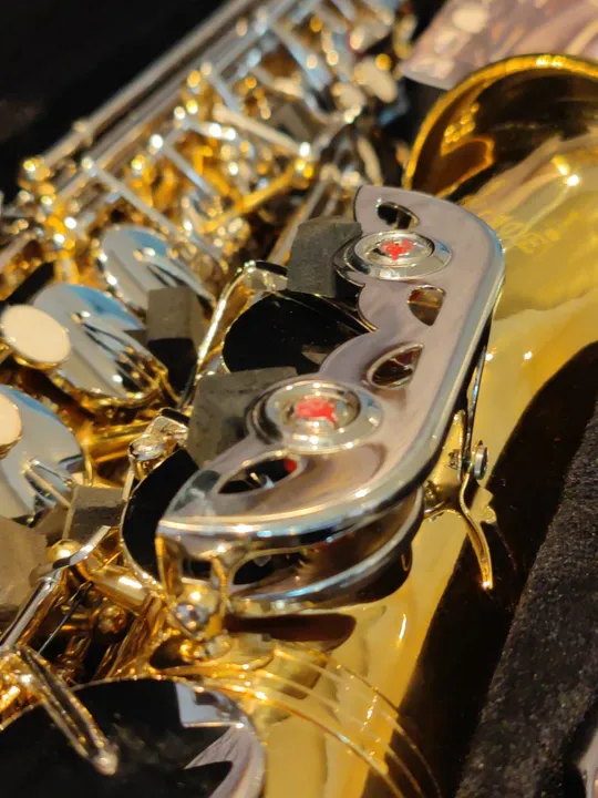 Sax Alto Novo Designed by USA