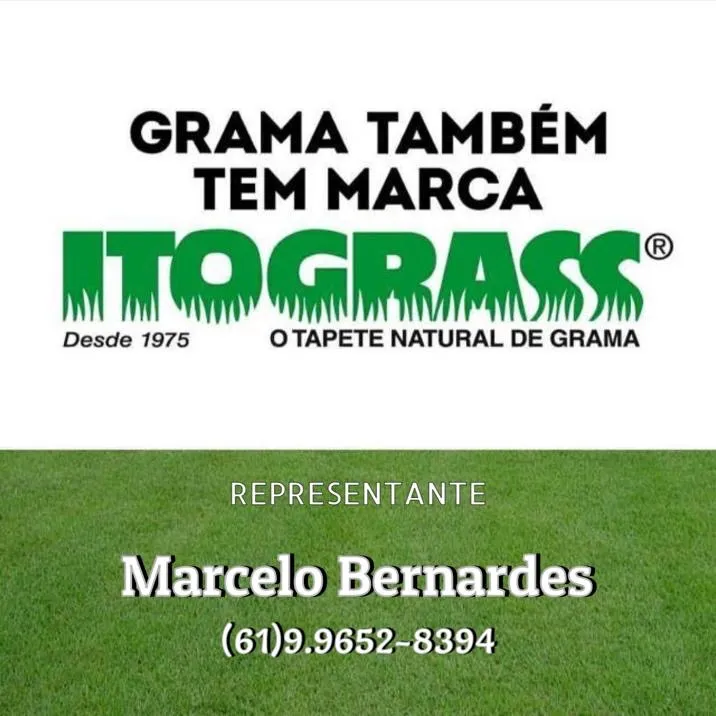 Grama Esmeralda, São Carlos, Batatais.