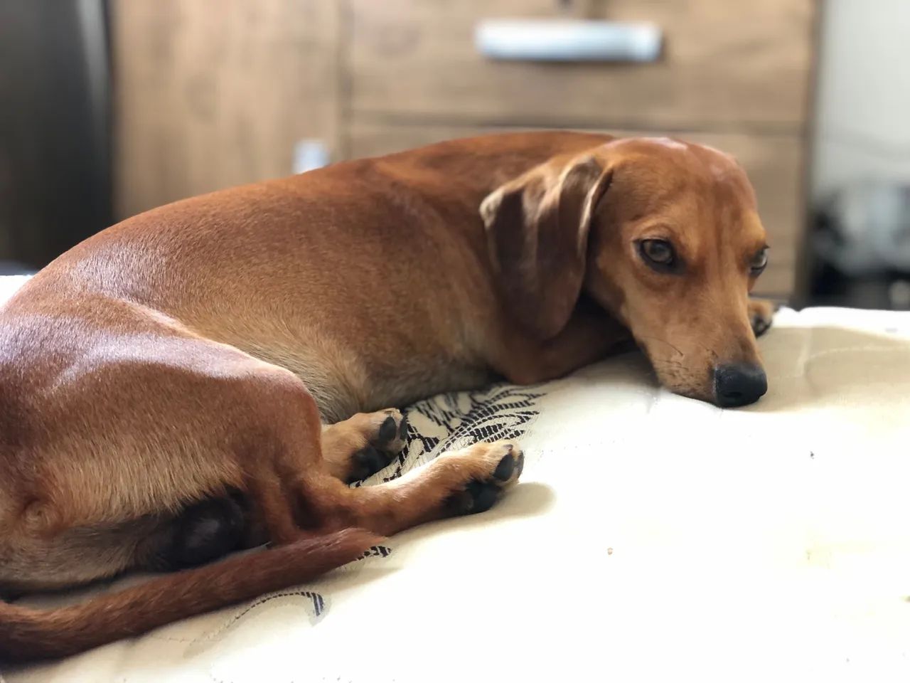 Procuro namoradinha ? - Foto 2