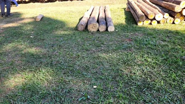 PALANQUES DE EUCALIPTO E ESCORAS. - Foto 3