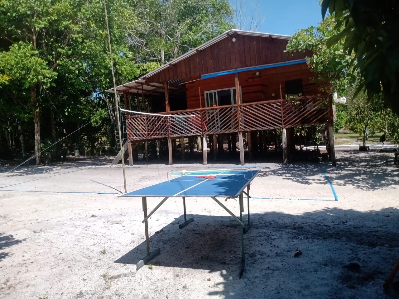 Vendo sítio na estrada de Novo Airão - Foto 4