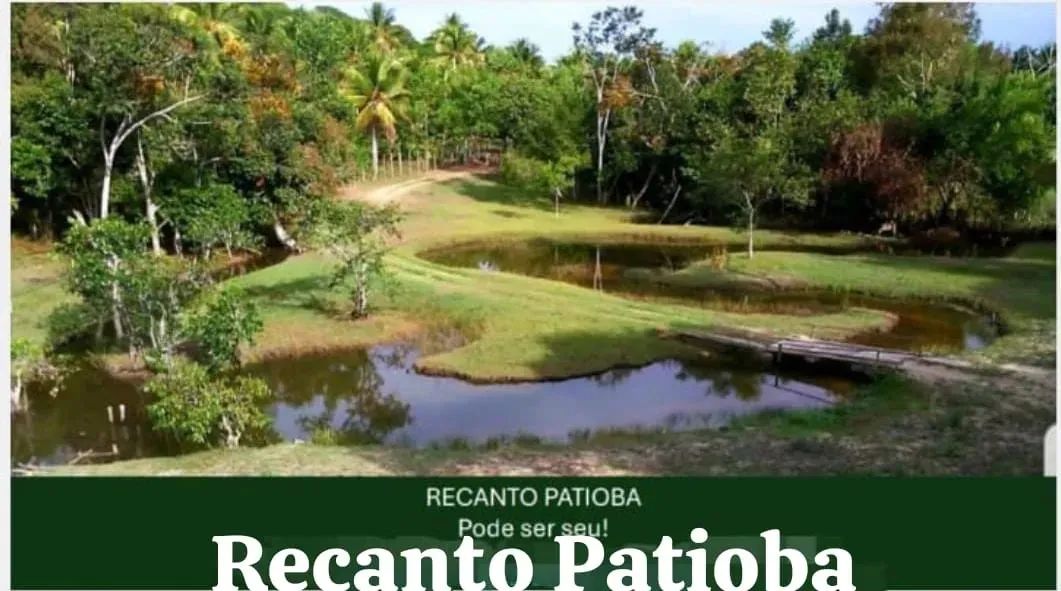 Fazenda 38 hectares - Recanto Patioba
