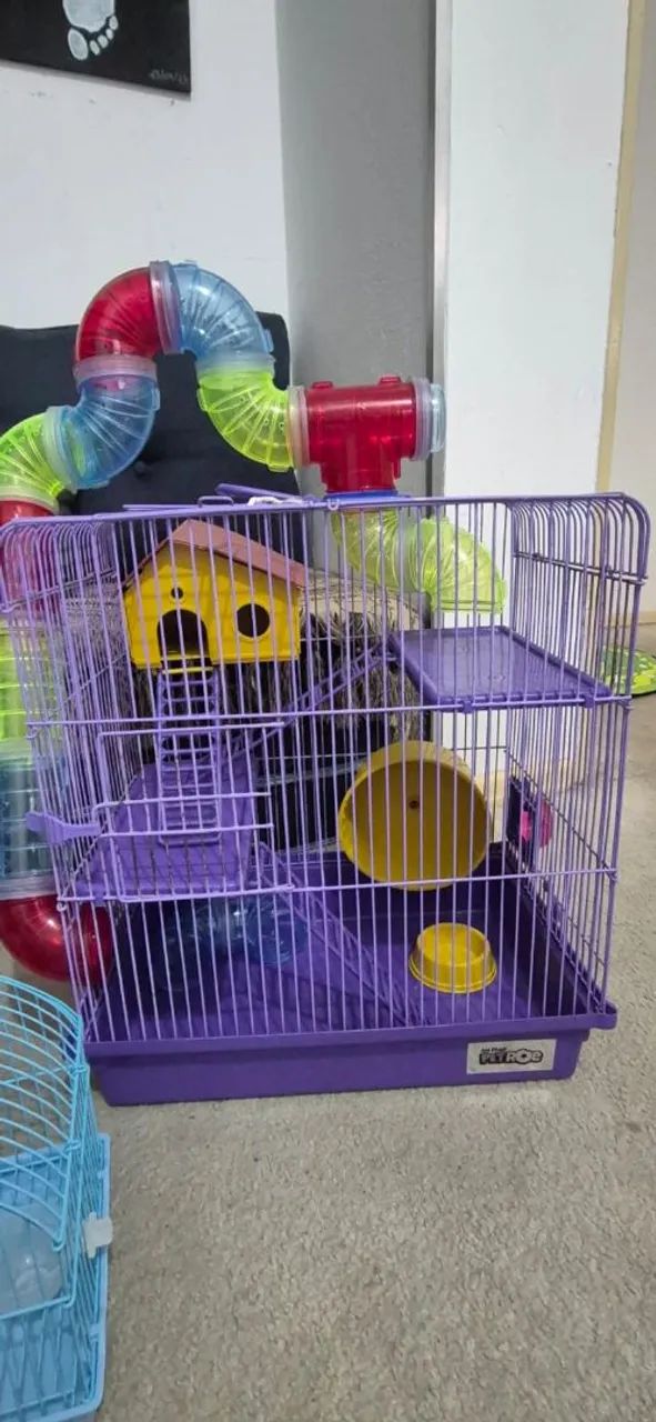 HAMSTER CAGE63824603267203122