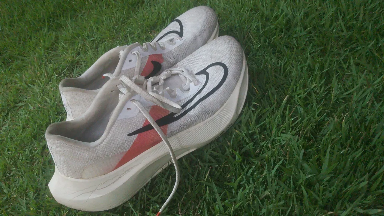 Tênis Nike Zoom Fly 3 - Original