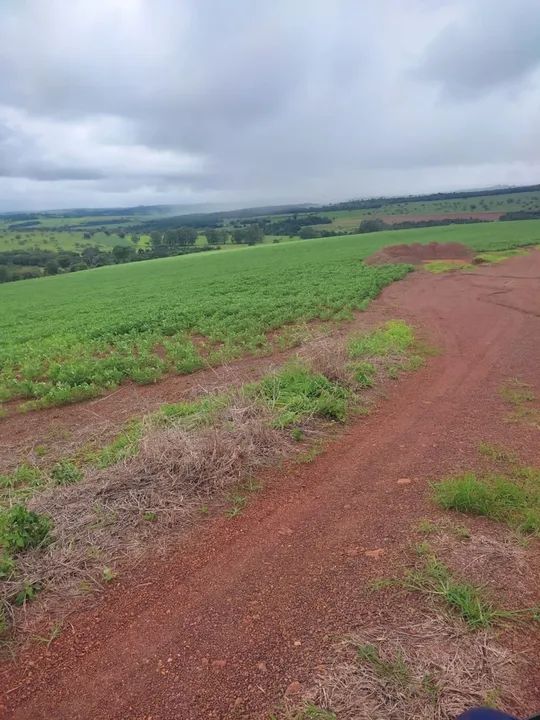 Fazenda 31 alqueires  - Foto 3