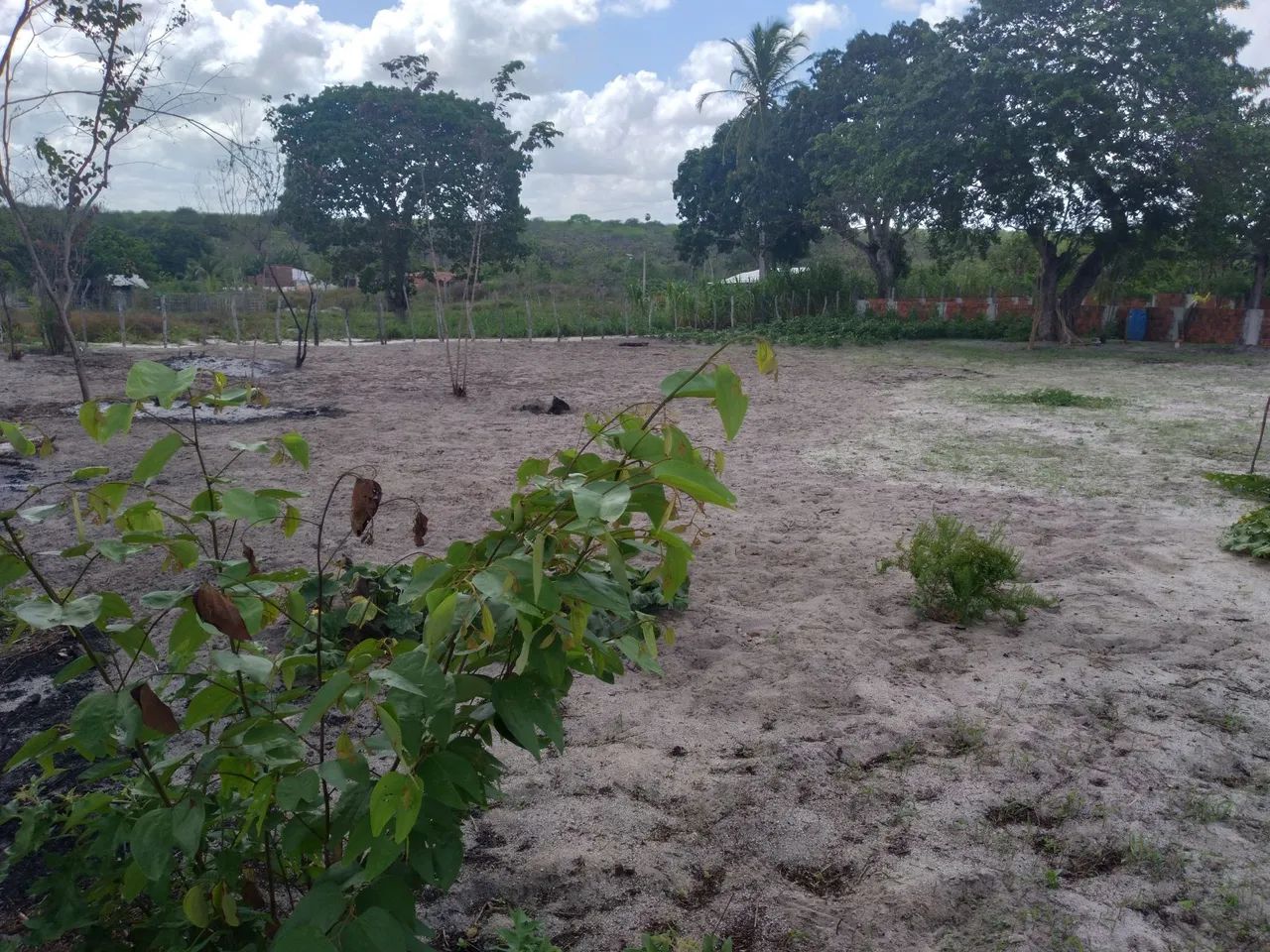 Vendo Terreno em Aquiraz CE  - Foto 6