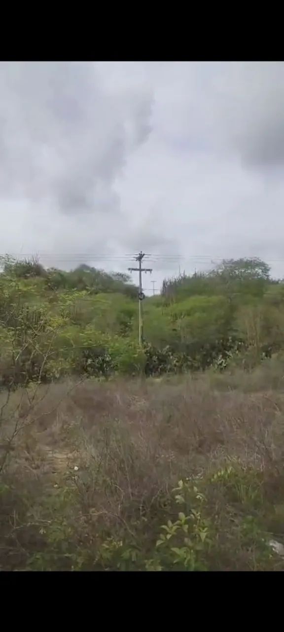 Sitio as margens da Br 230 em Pocinhos