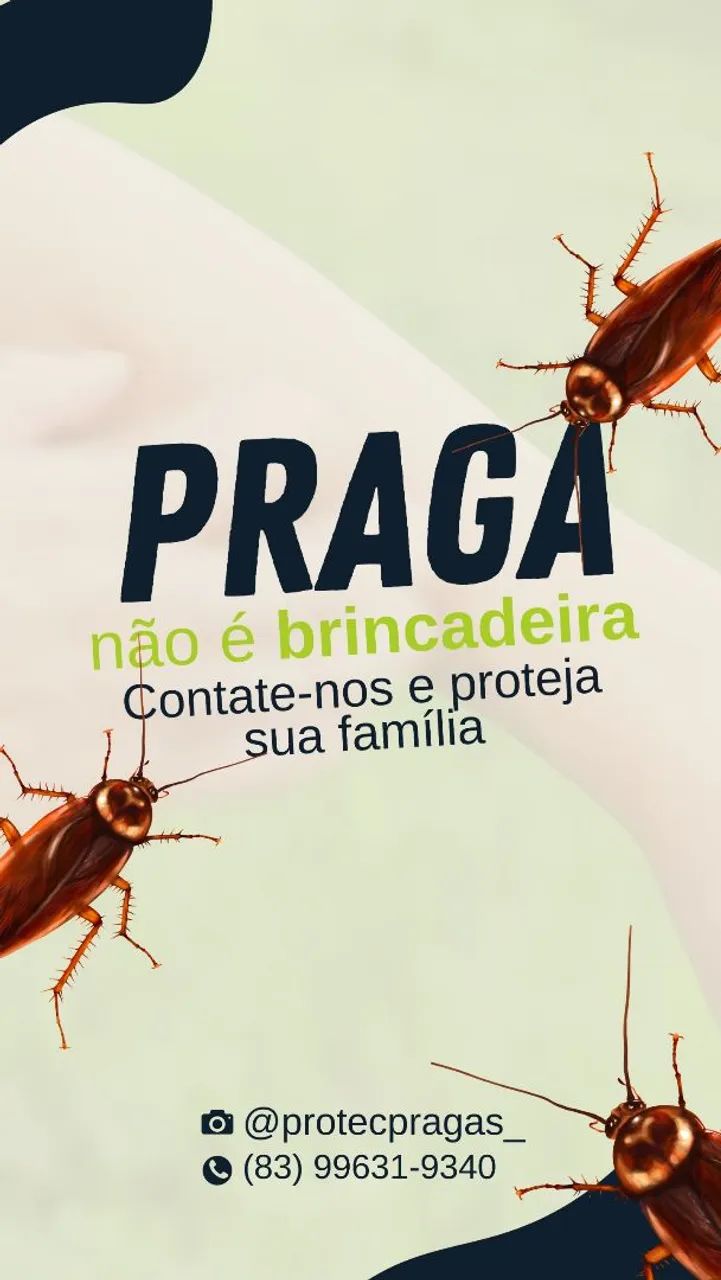 Dedetização comercial e residencial