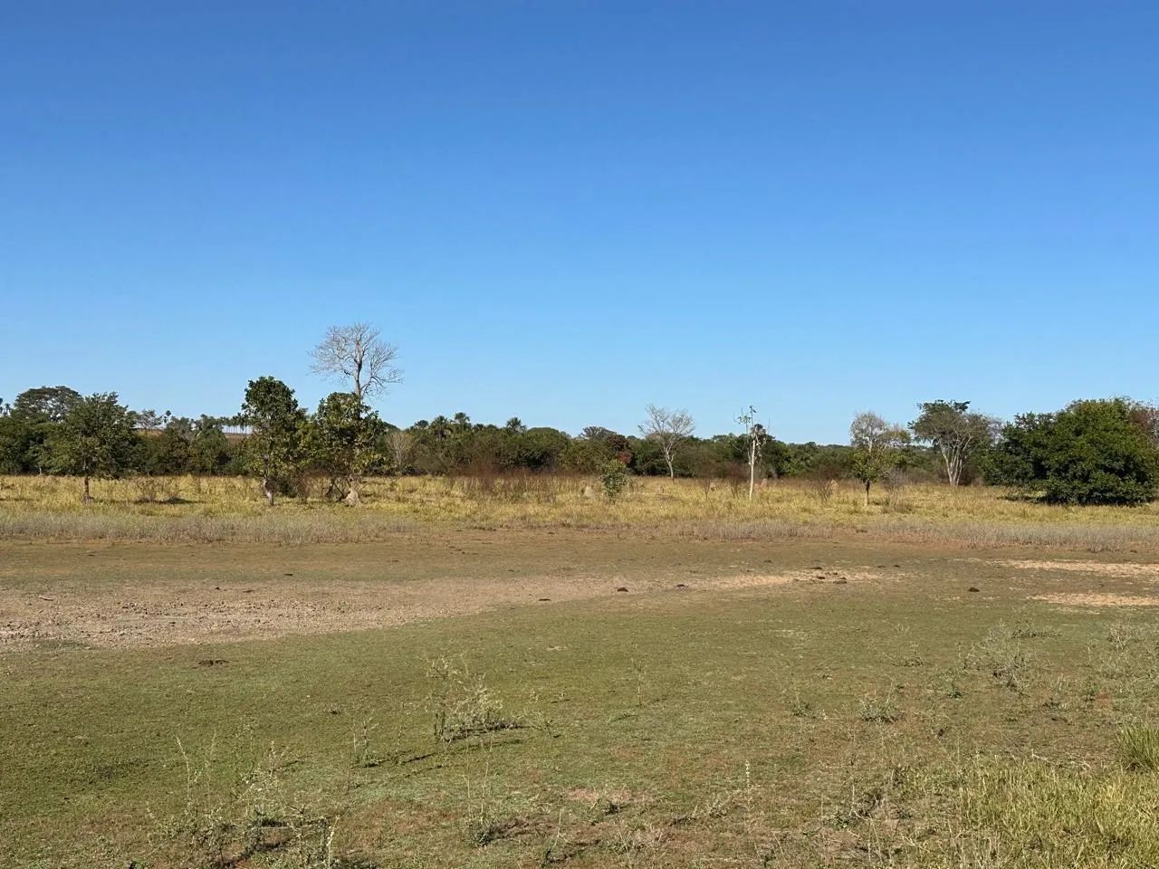 Fazenda a venda  em  - Itarumã - Goiás - Foto 4