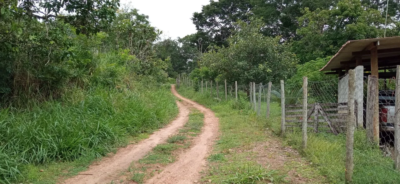 Chácara em Caldazinha
