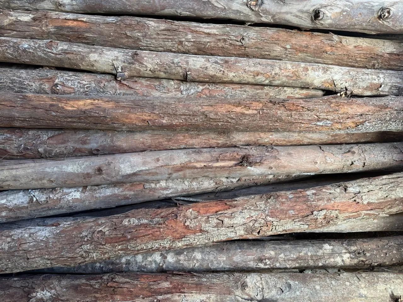 Estroncas de madeira - Foto 2