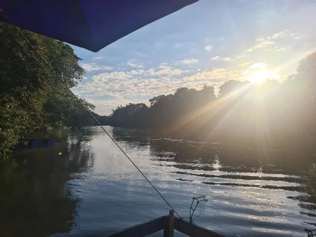 Rancho em Palmeiras na Beira do Rio Aquidauana  - Pesqueiro - Chacara - Foto 5