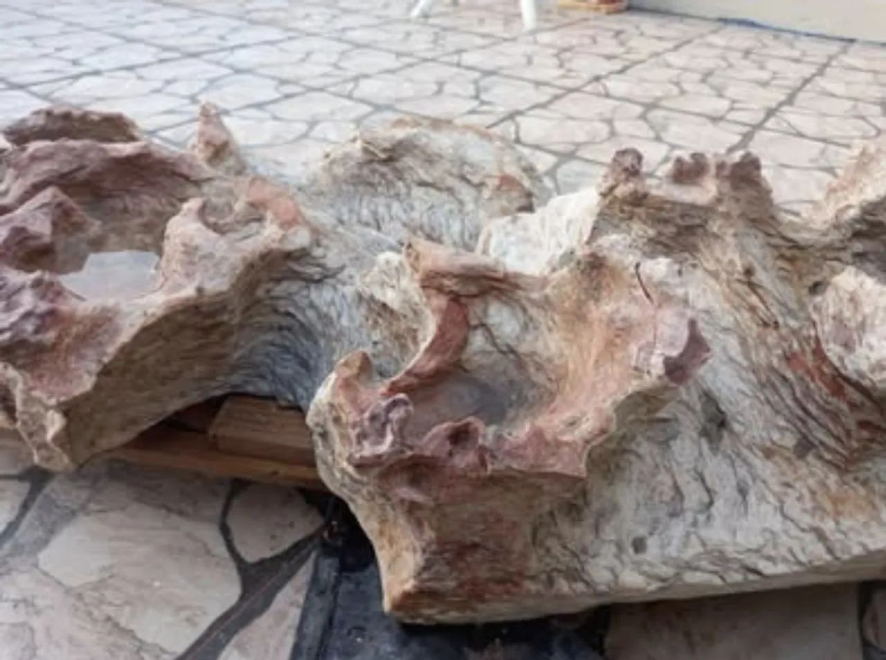  Pedra Natural decorativa  - Foto 5