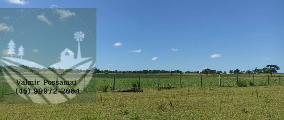 Fazenda em Amambai-Ms - Foto 3