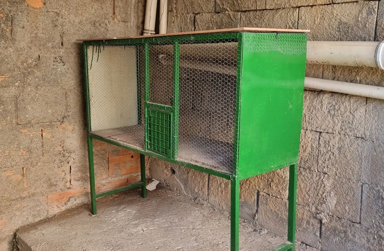 Viveiro para Pássaros Calopsita ou Galinhas - Foto 2