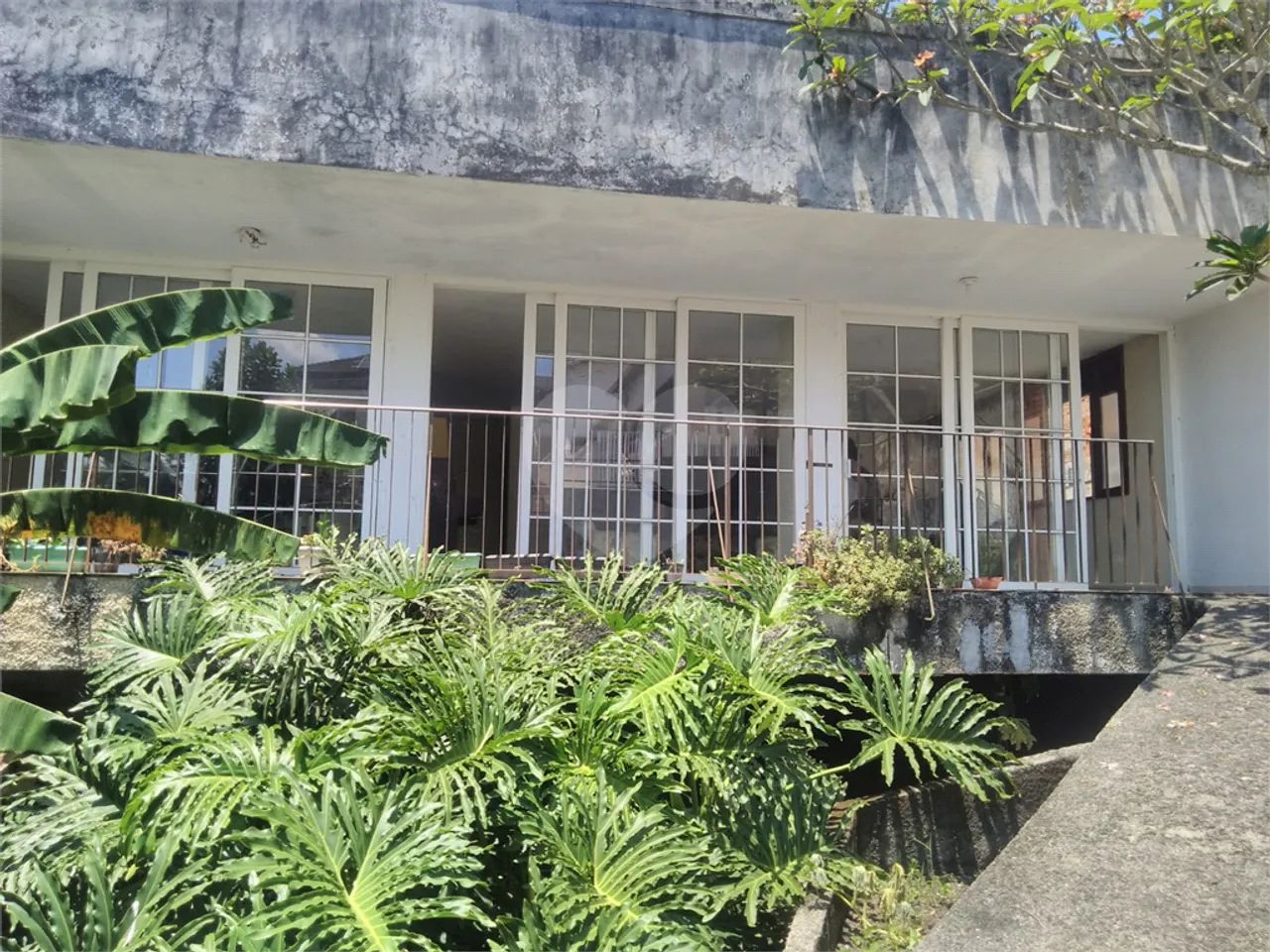 Casa com 5 quartos à venda em São Francisco - RJ - Foto 2