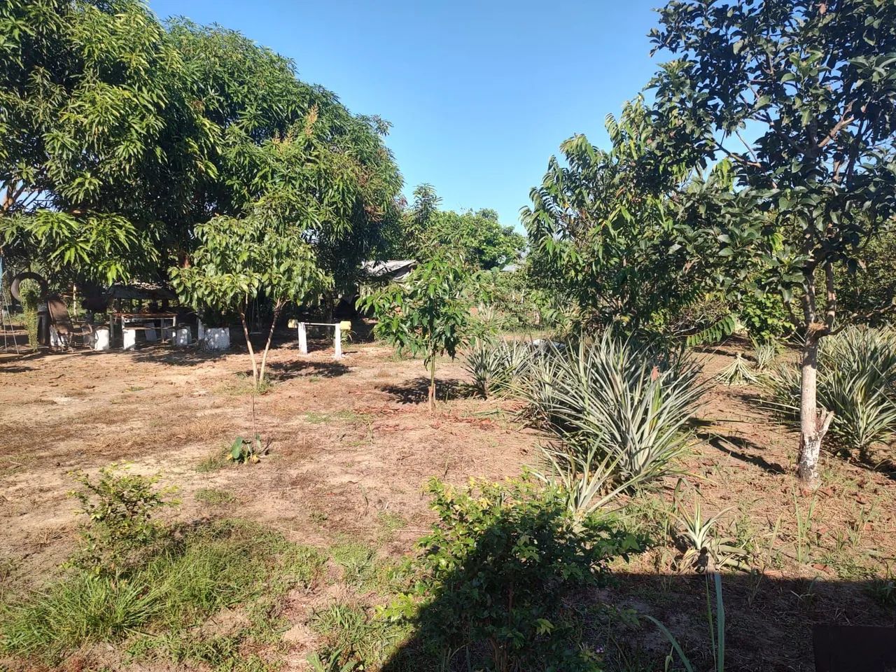 Vendo chácara  - Foto 4