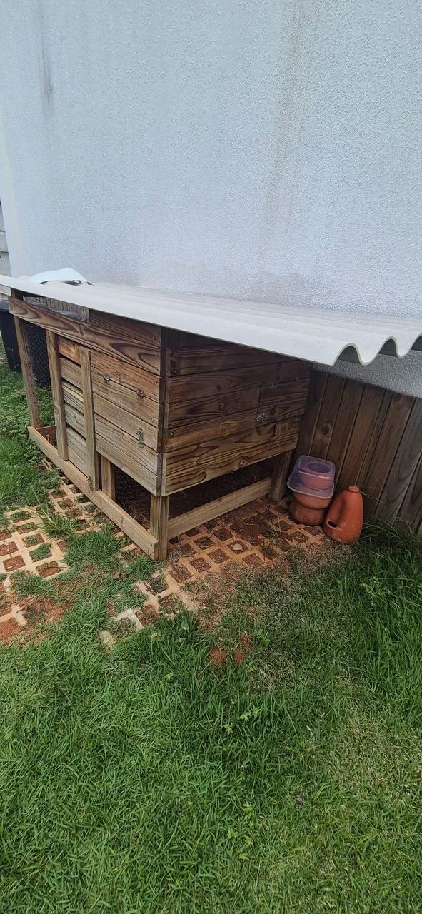 Galinheiro - Foto 2