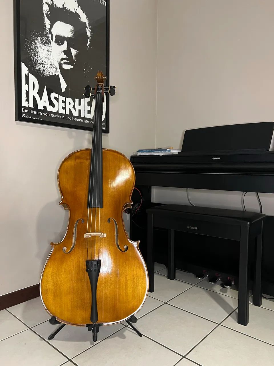 Violoncelo Profissional de Madeira Maciça 