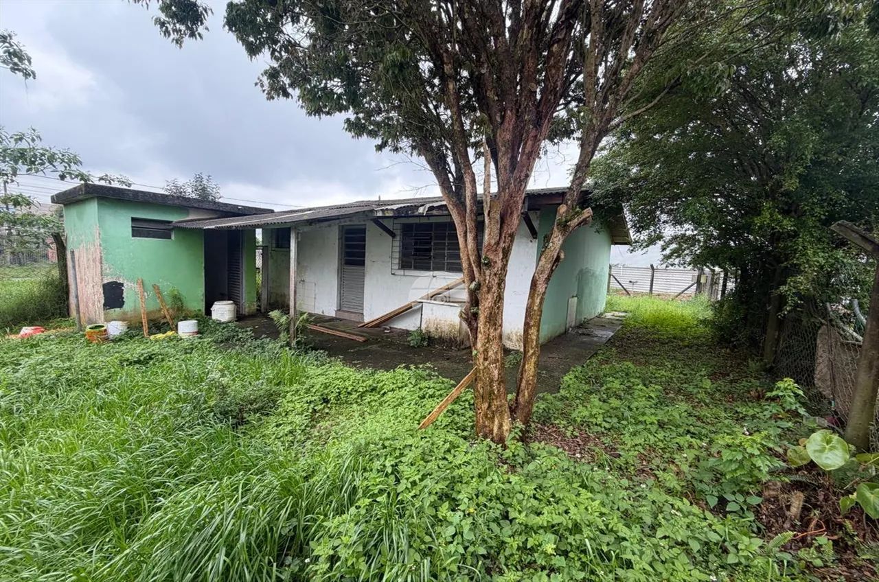 Vendas Terreno Pinhais PR - Foto 5
