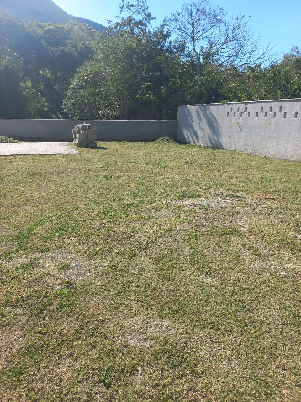 Serviço de jardinagem - Foto 3