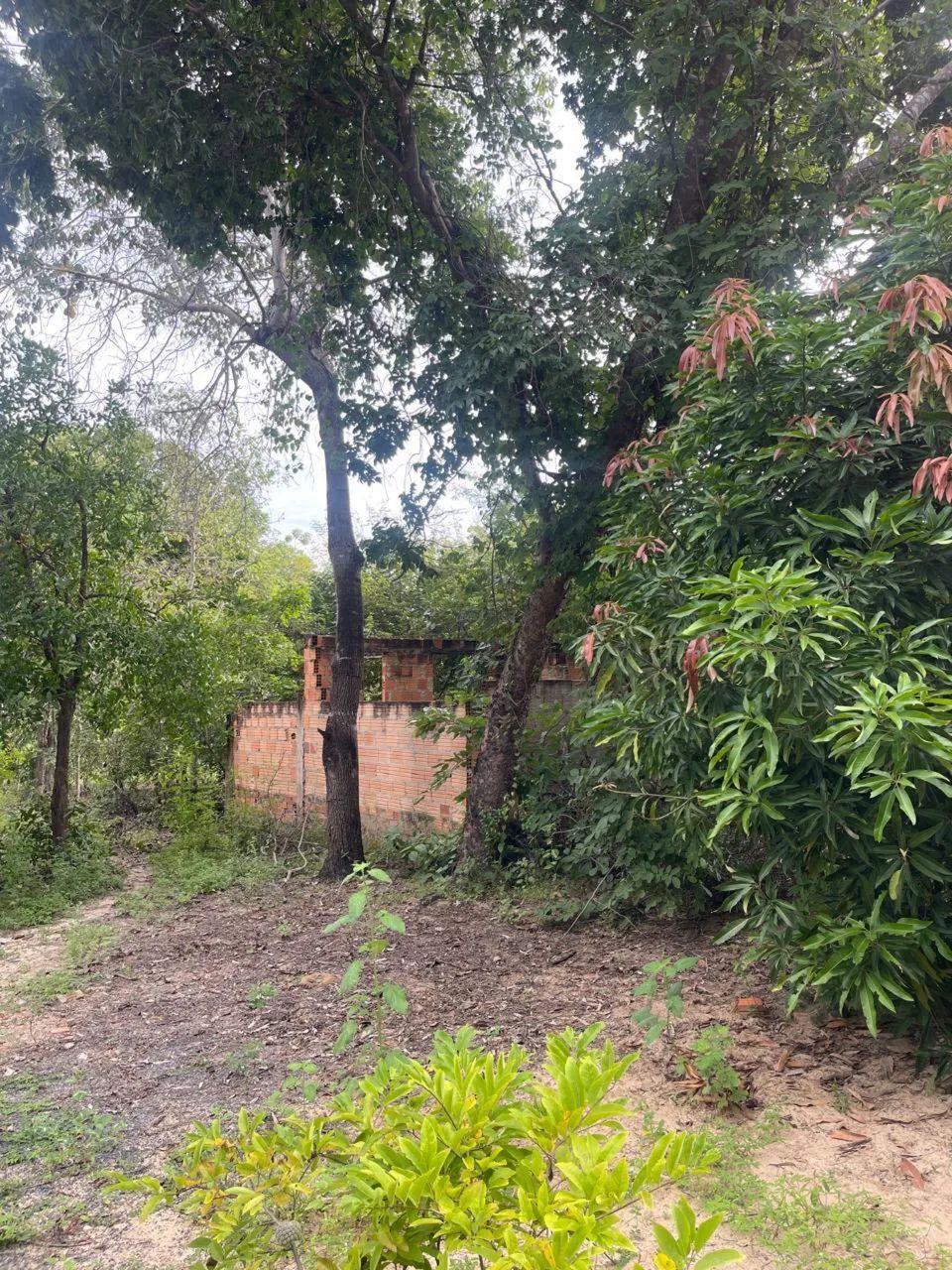 Propriedade Rural