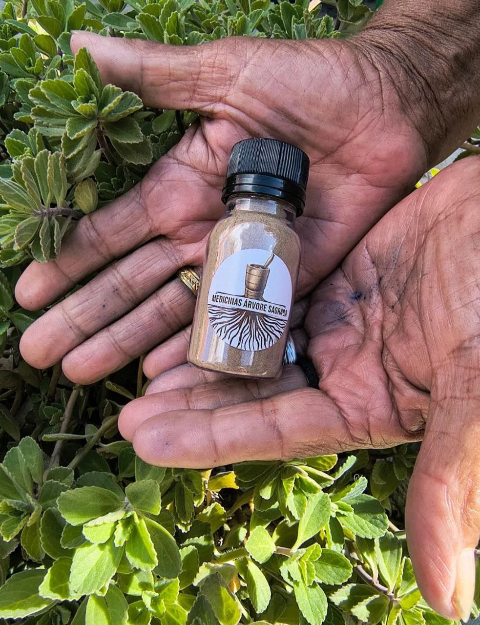 Kuripe Artesanal, animal de poder URSO  - Foto 4