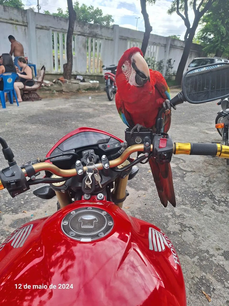 Hornet 2013/2014 - Foto 5