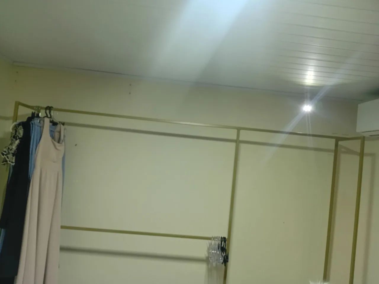 Arara dourada 3 metros