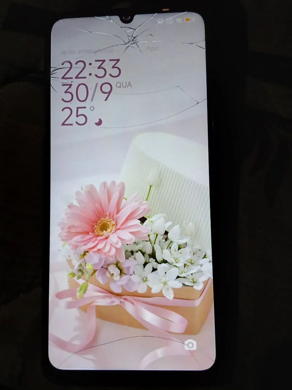 Celular Xiaomi Redmi 13C + carregador 