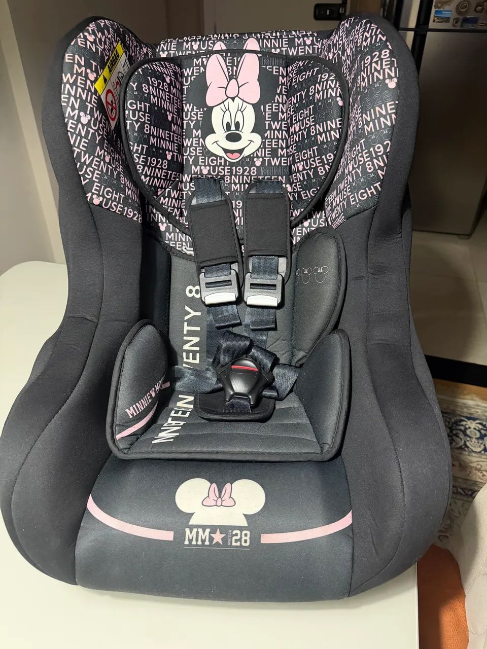 Cadeira infantil e protetor para carro