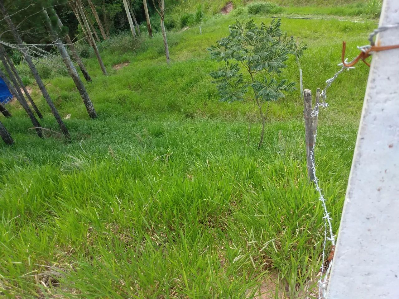 Foto - Itaquaquecetuba - Parque Nossa Senhora das Graças