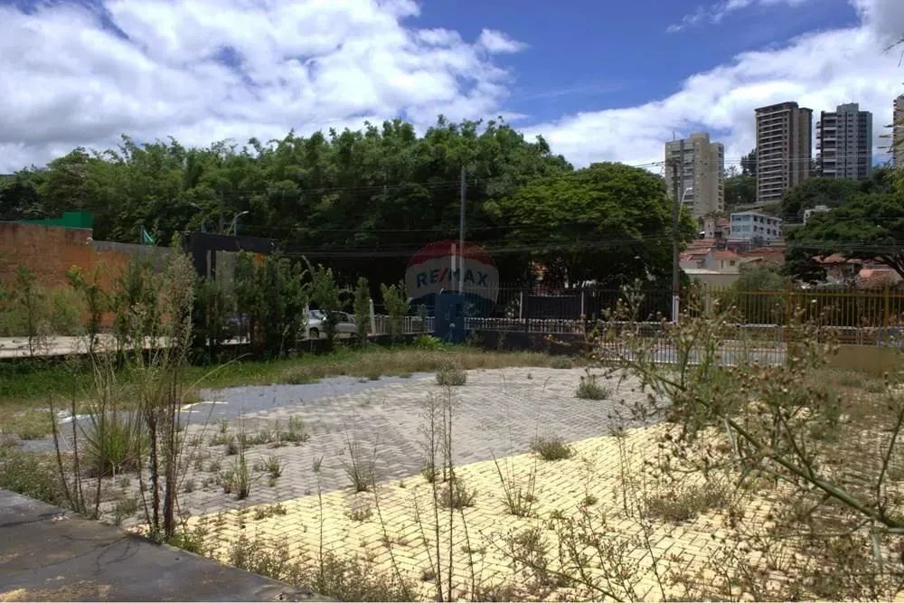 Terreno com 840m². Área livre. - Foto 11
