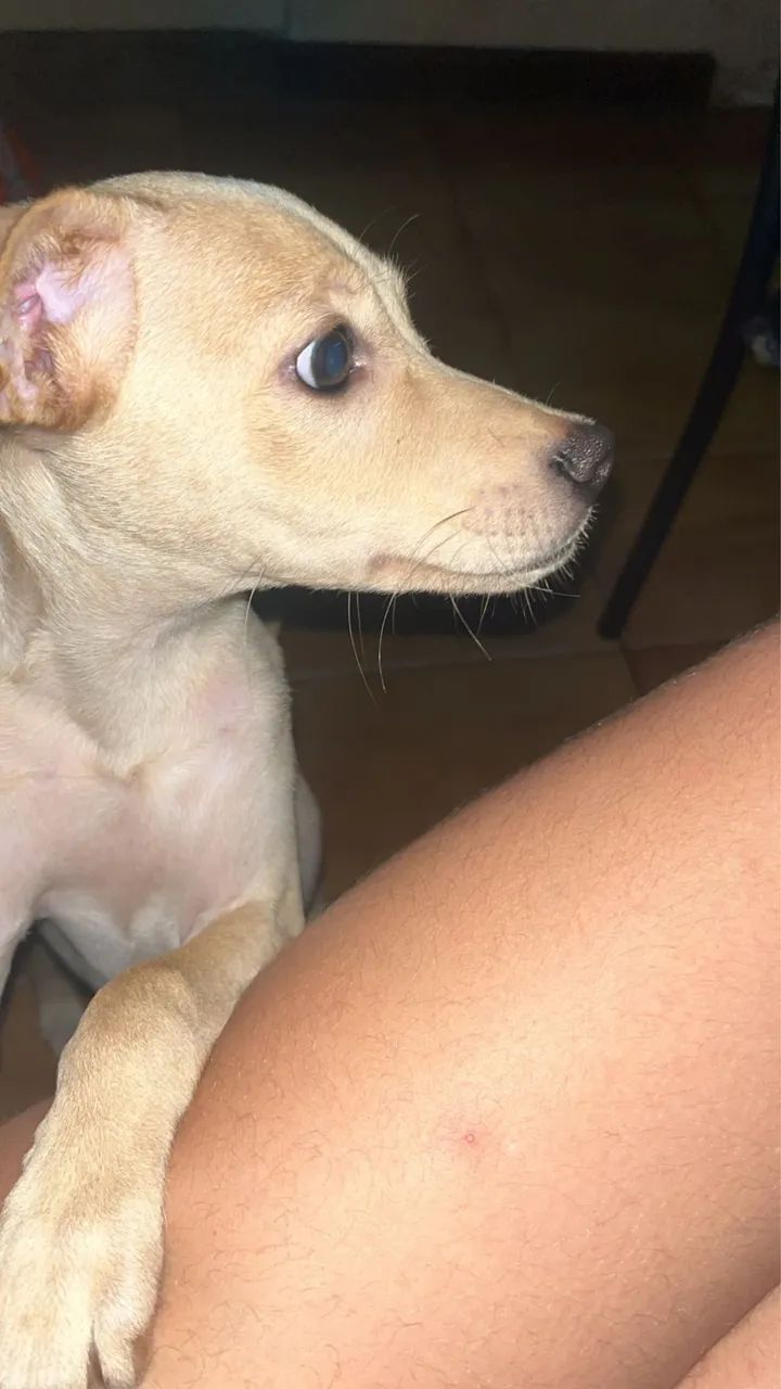 Doação  - Foto 2
