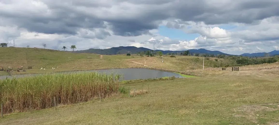FAZENDA DE PECUÁRIA EM JUSSARI - Foto 2