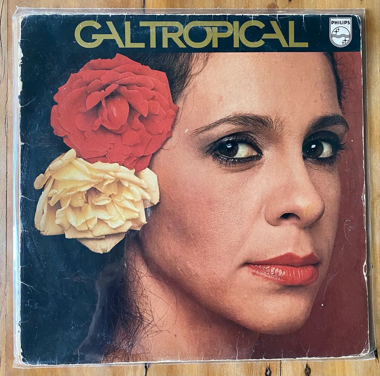 Disco de vinil (LP) Gal Costa - Tropical