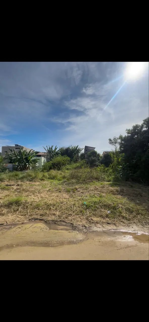 Lote Nova Iguaba  - Foto 5