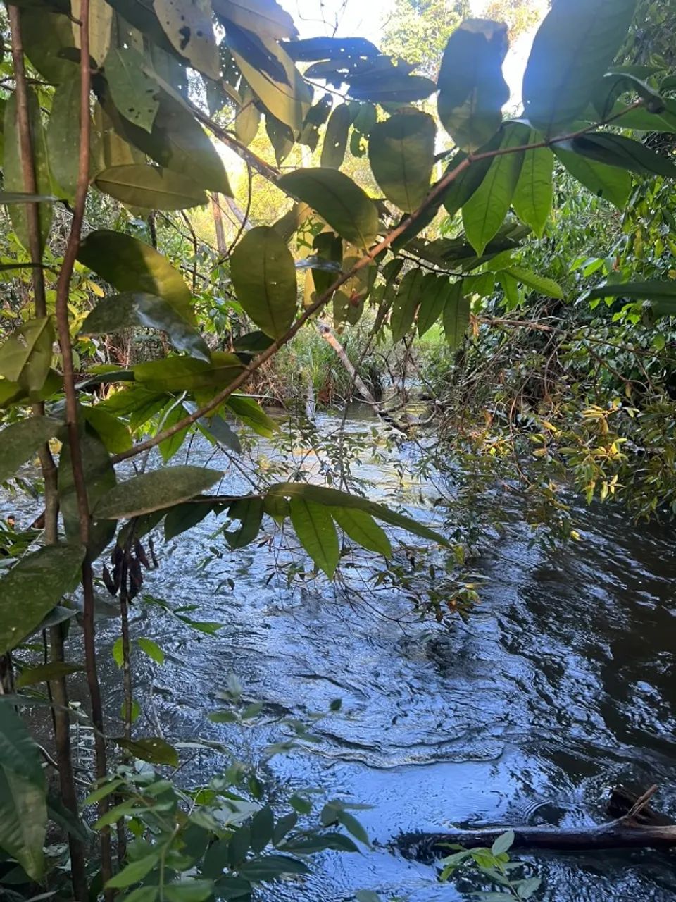 CHÁCARA A VENDA EM VILHENA