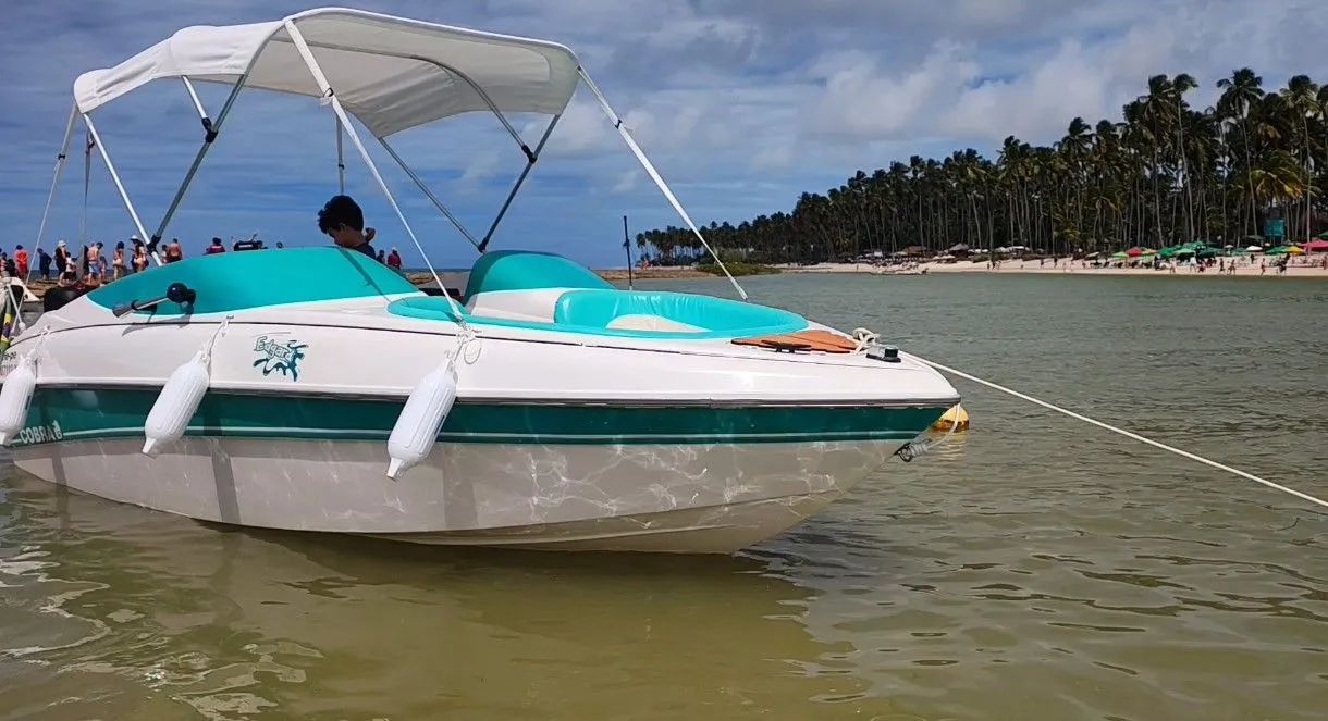 Lancha Cobra Bibini - Foto 4