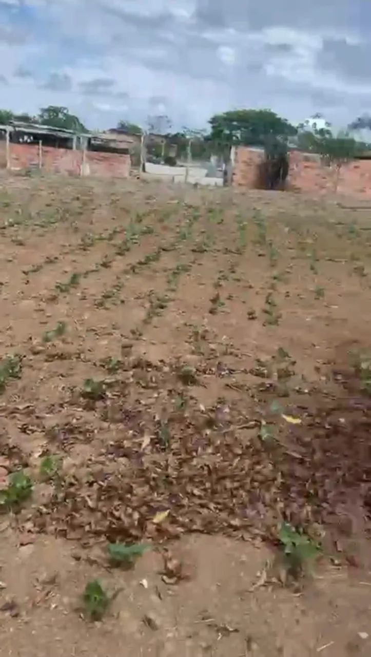 OPORTUNIDADE EXCLUSIVA - ÁREA À VENDA ? - Foto 2