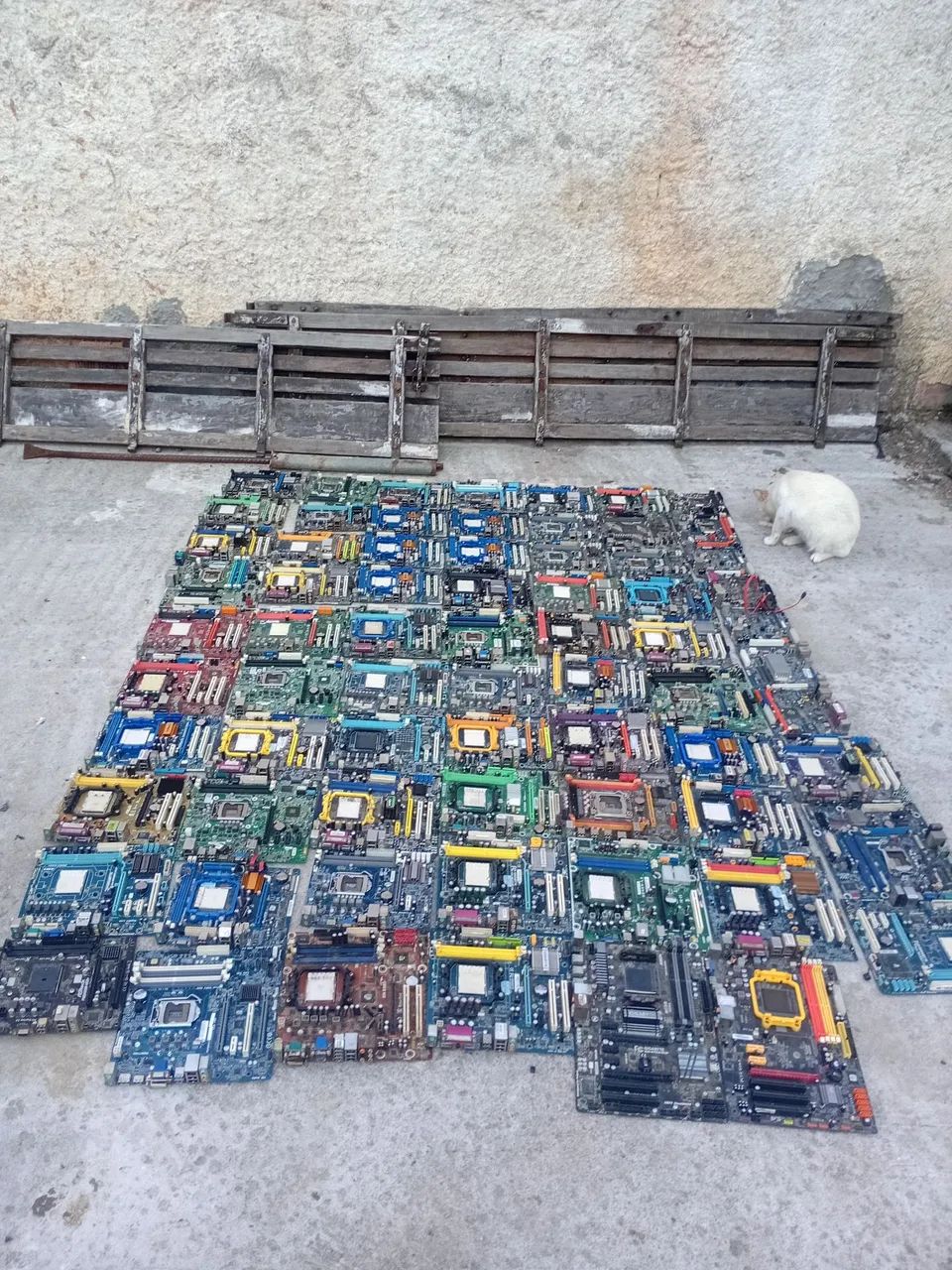 Placa mãe 