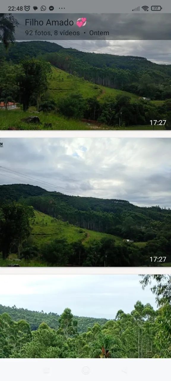 Terreno de 11.4 hectares. - Foto 5