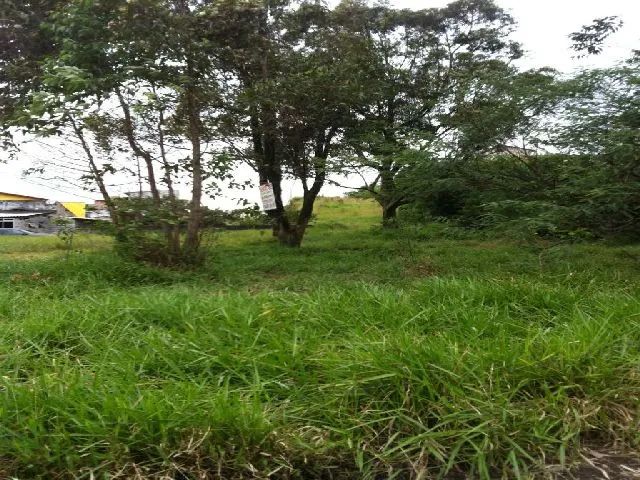 Terreno Terreno em Poá - Foto 4
