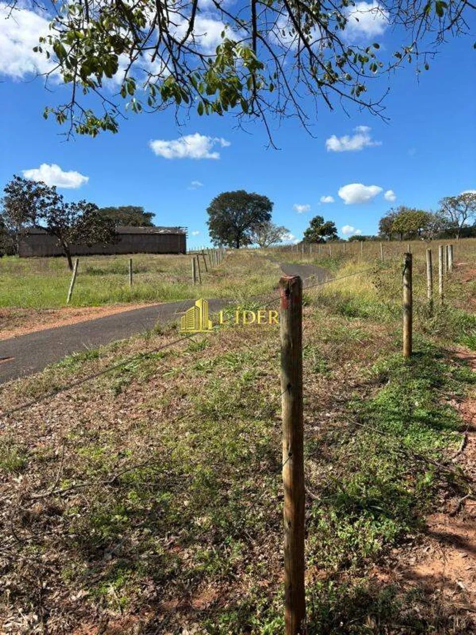 FAZENDA NA REGIÃO DE XAPETUBA - Foto 3