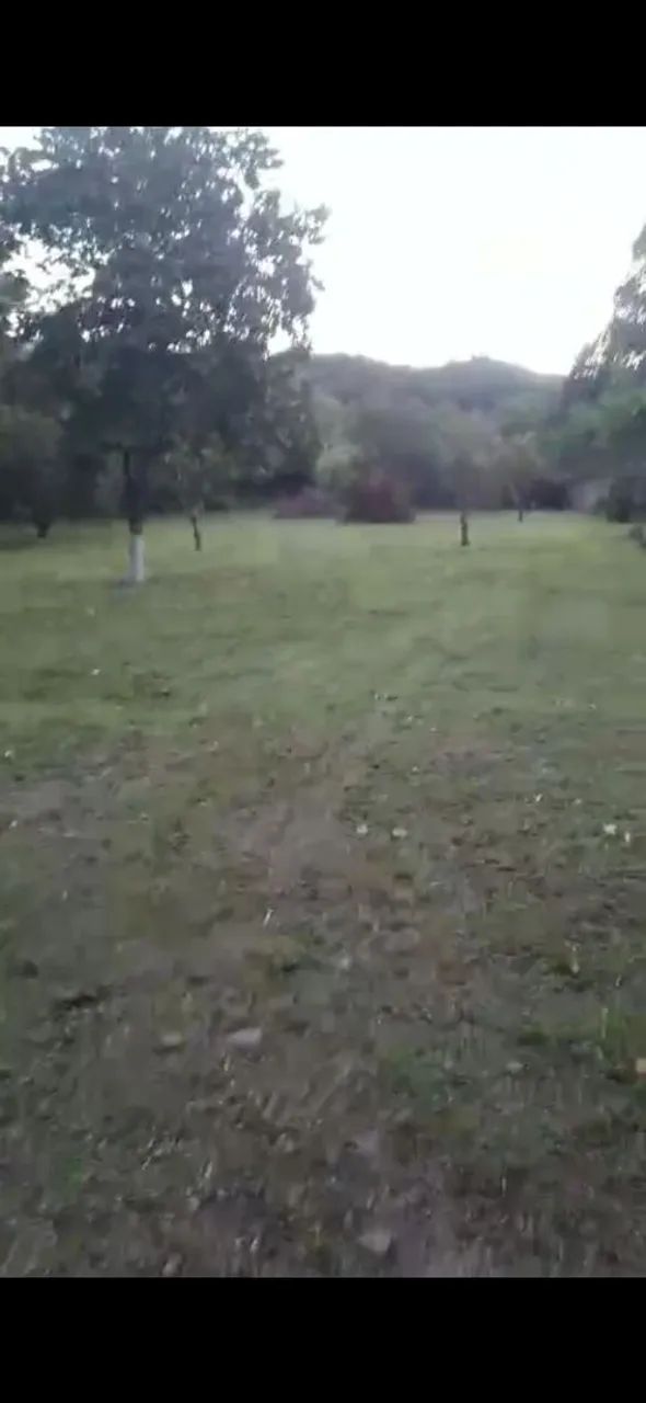 Espaço para cavalos